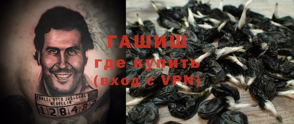 ПСИЛОЦИБИНОВЫЕ ГРИБЫ Баксан