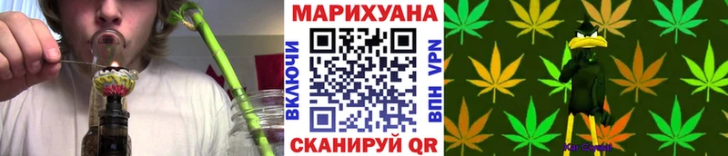 Бошки Шишки SATIVA & INDICA  наркота  Кировск 